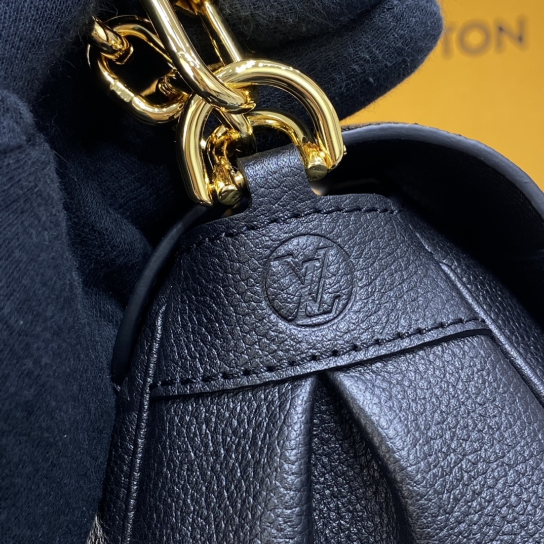 Louis Vuitton FAVORITE Monogram Shoudler Bag  M45813 Black